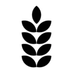 gluten