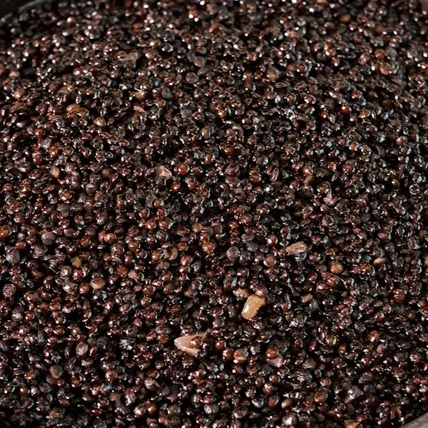 black lentil base at cava