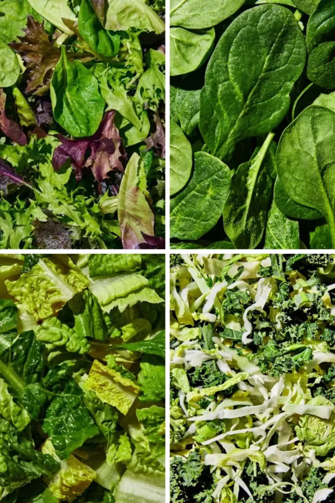 green base options at cava 